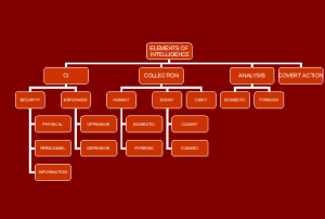 ELEMENTS OF INTELLIGENCE/ELEMENTE VAN INTELLIGENSIE - Johan Mostert