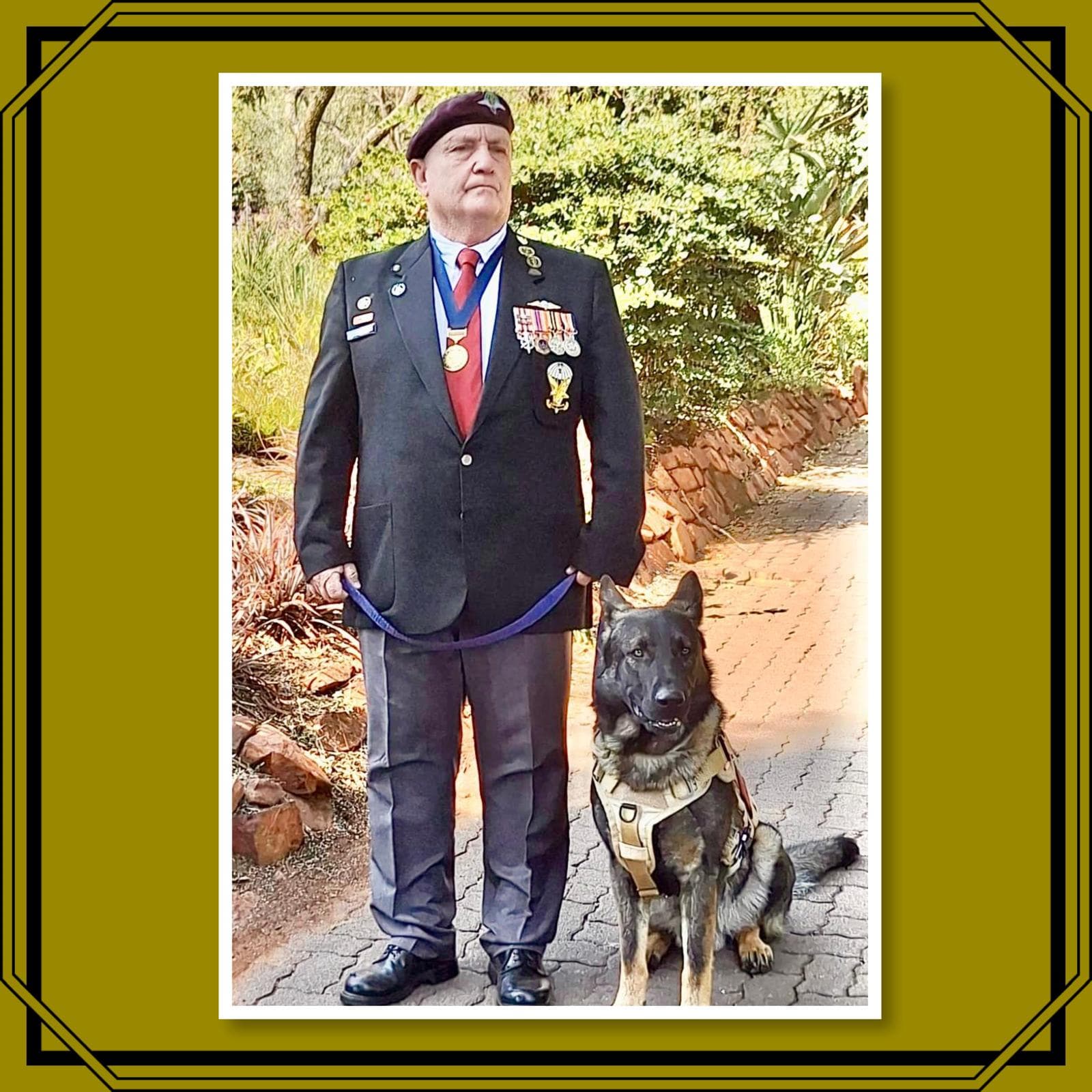 Animals in War