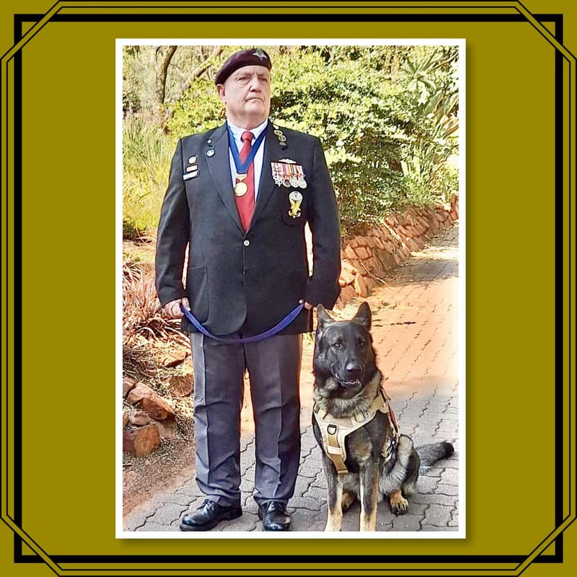 Animals in War