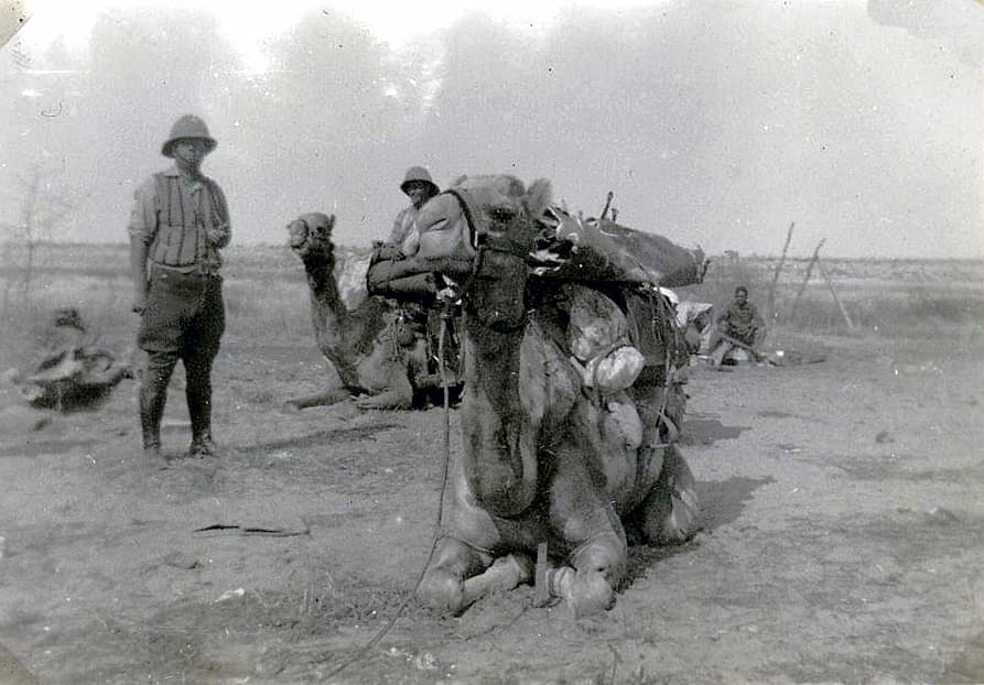 'n Foto wat buite, klere, grond, person bevat AI-gegenereerde inhoud kan dalk verkeerd wees.