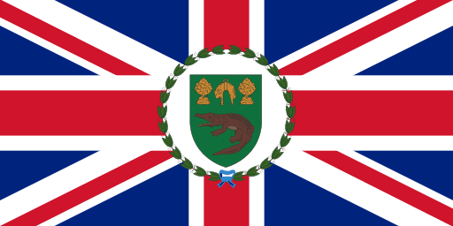 A flag with a green and red and blue flag
AI-generated content may be incorrect.