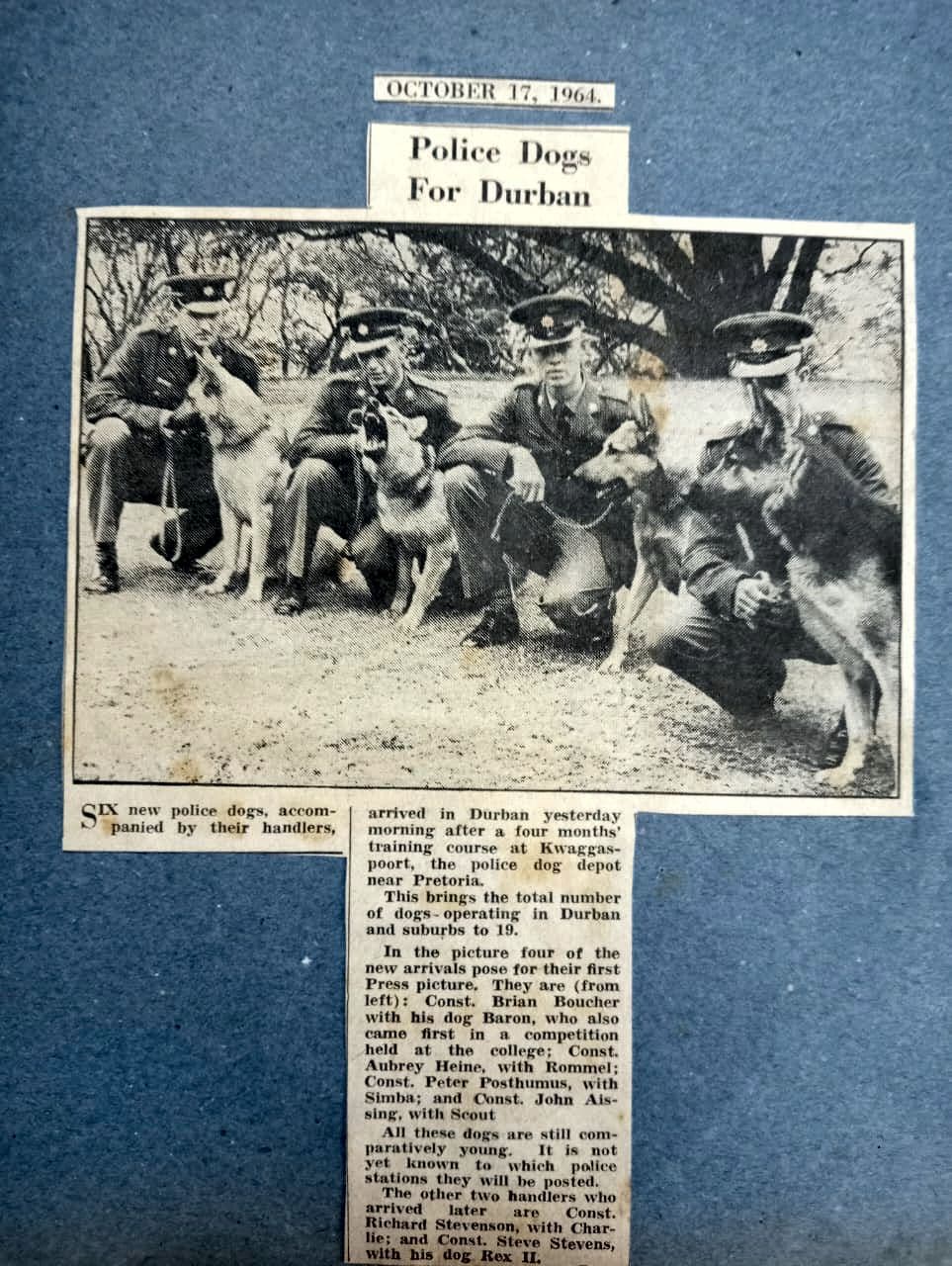 A newspaper article with a group of police dogs
AI-generated content may be incorrect.